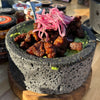Alejandro Gtz y Luis Garza - Grill Night | San Antonio, TX. | July 16